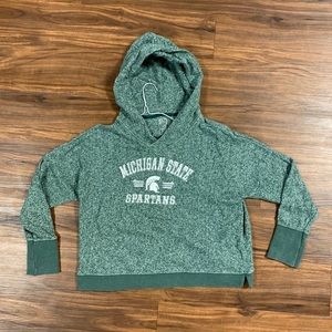Michigan State Hoodie